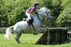 Personal Injury Compensation Won For A Serious Horse Riding Accident